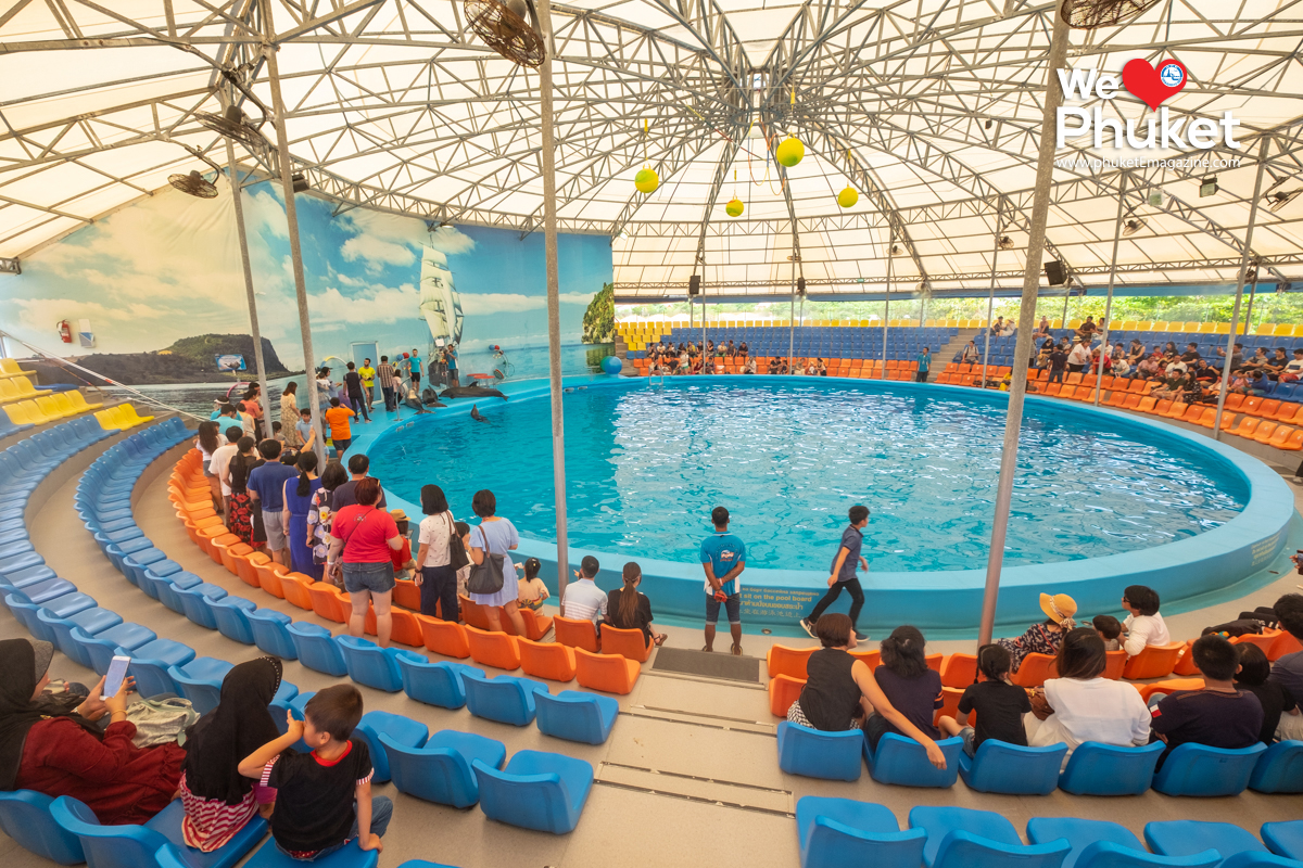 Dolphin Bay Phuket Show - Phuket E Magazine