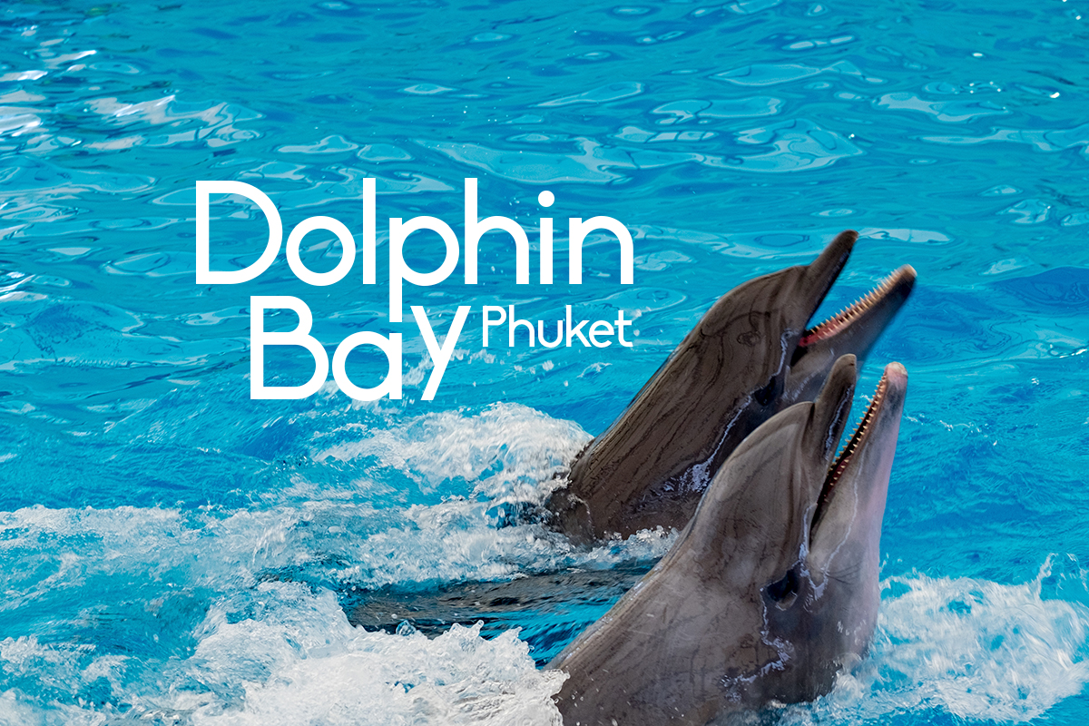 Dolphin Bay Phuket - Cover Photo - Phuket E Magazine