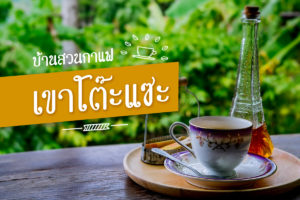 บ้านสวนกาแฟเขาโต๊ะแซะ-1